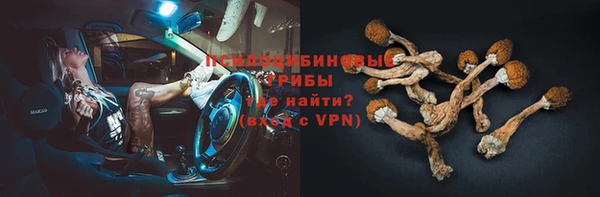 МДПВ Абаза