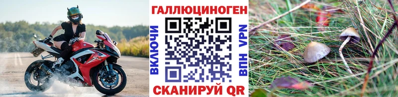 Галлюциногенные грибы Psilocybe  Екатеринбург 